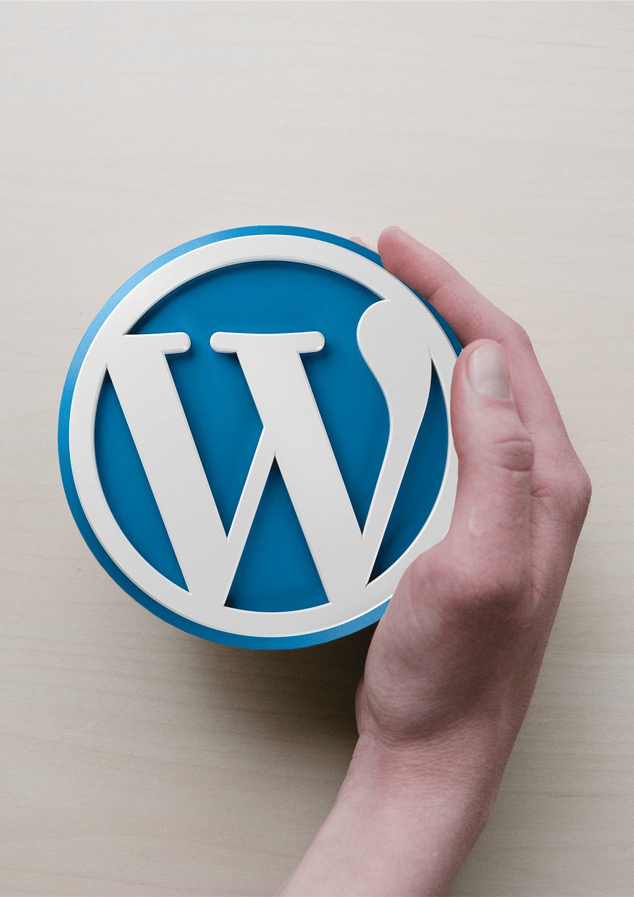A person's hand holding a circular object featuring the WordPress logo on a light-colored surface.